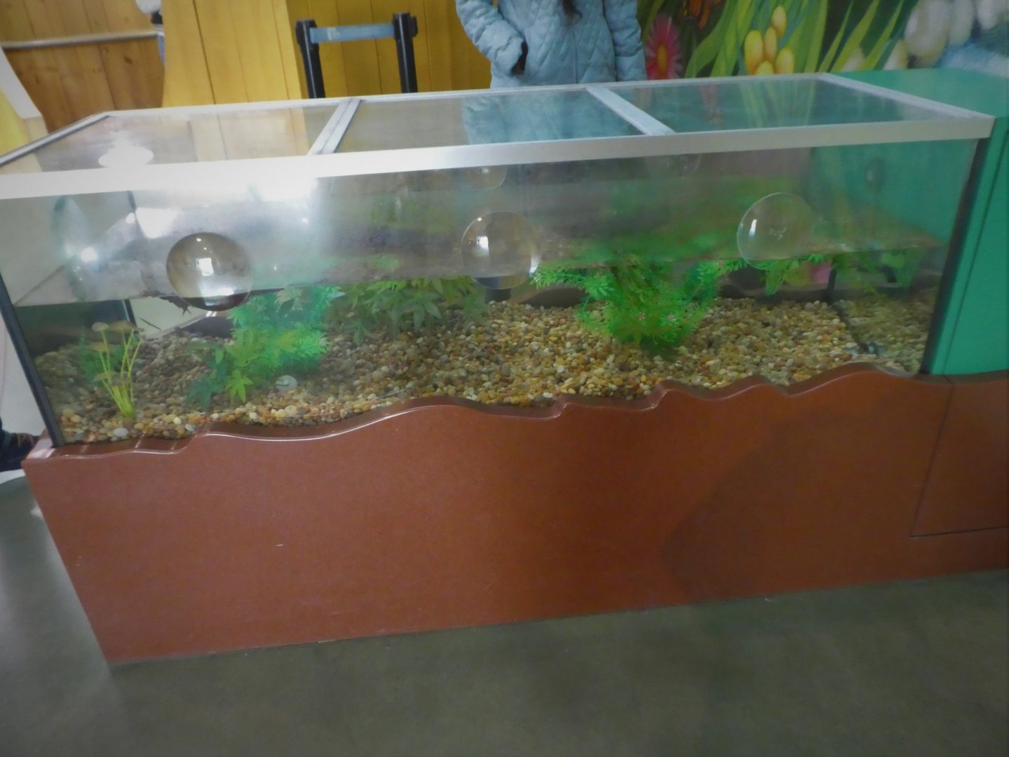 KidZooU - Faris Family Education Center - Toe Biter Exhibit