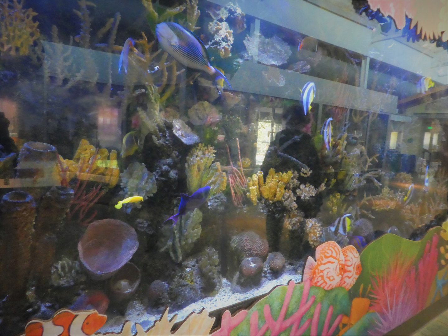 KidZooU - Faris Family Education Center - Tropical Fish Exhibit