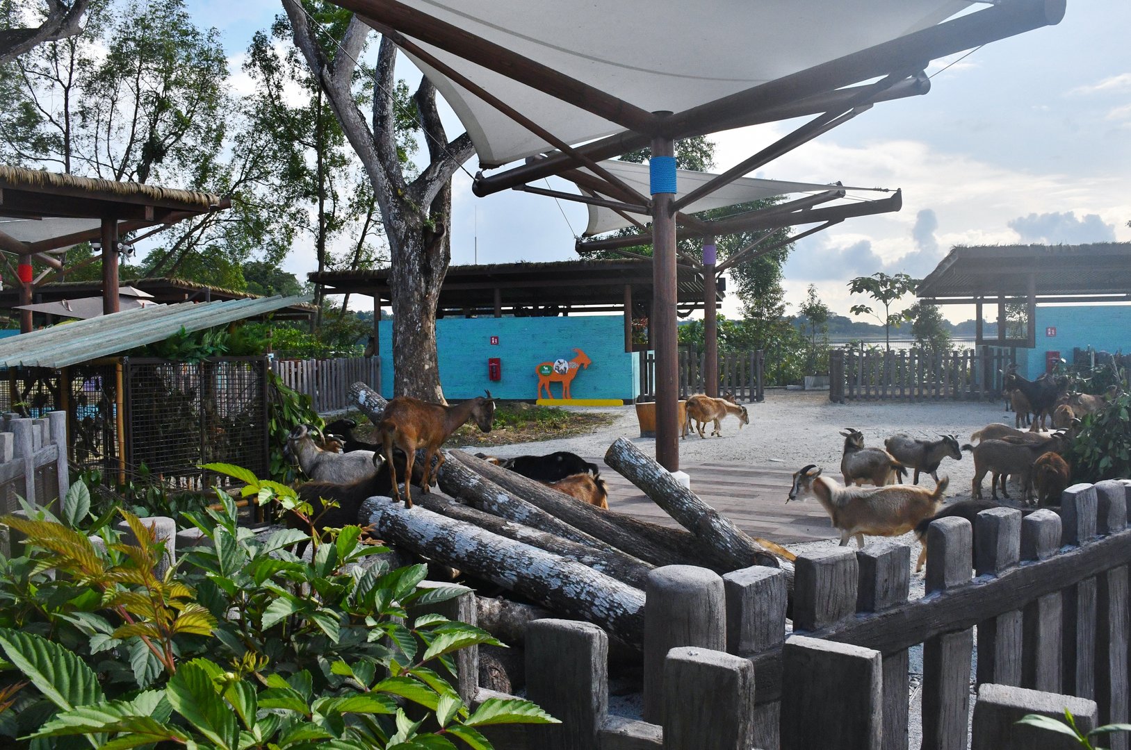 KidzWorld - Animal Land