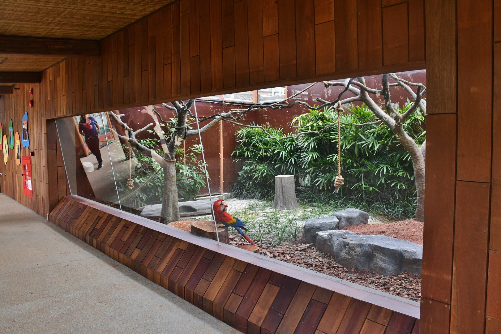 KidzWorld - Animals @ Play