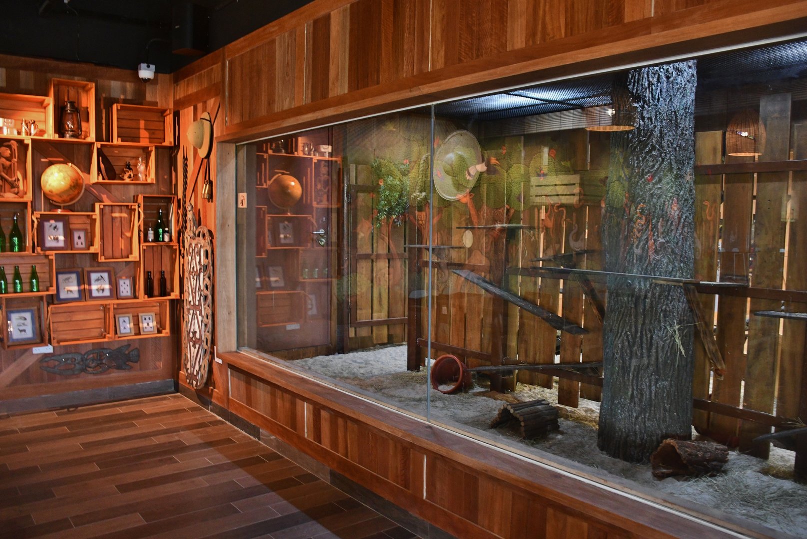 KidzWorld - Gambian Pouched Rat exhibit