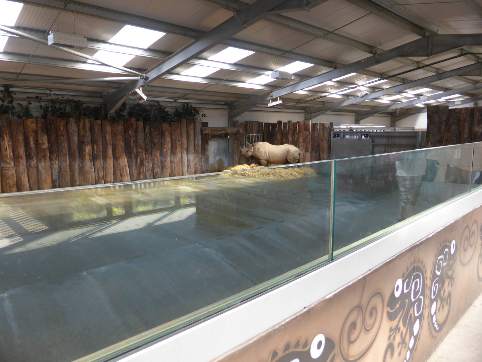 Kifaru Rhino Reserve exhibit