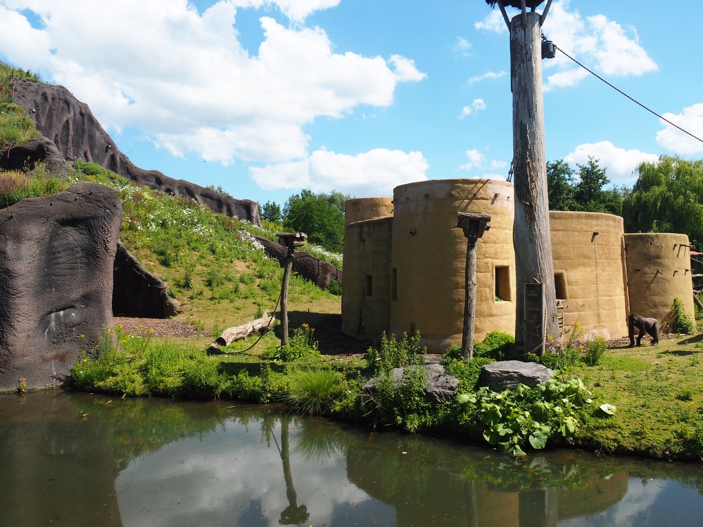 Kikuyu Colobus house and parts of Western lowland gorilla island and volcano, 2022-06-28