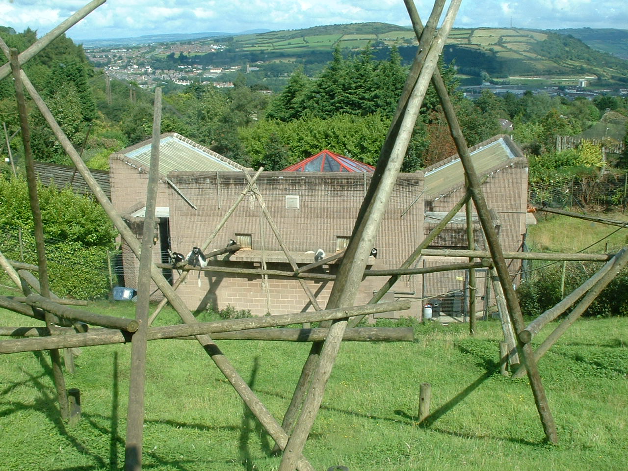 Kikuyu Colobus & Langur House - Belfast 2006