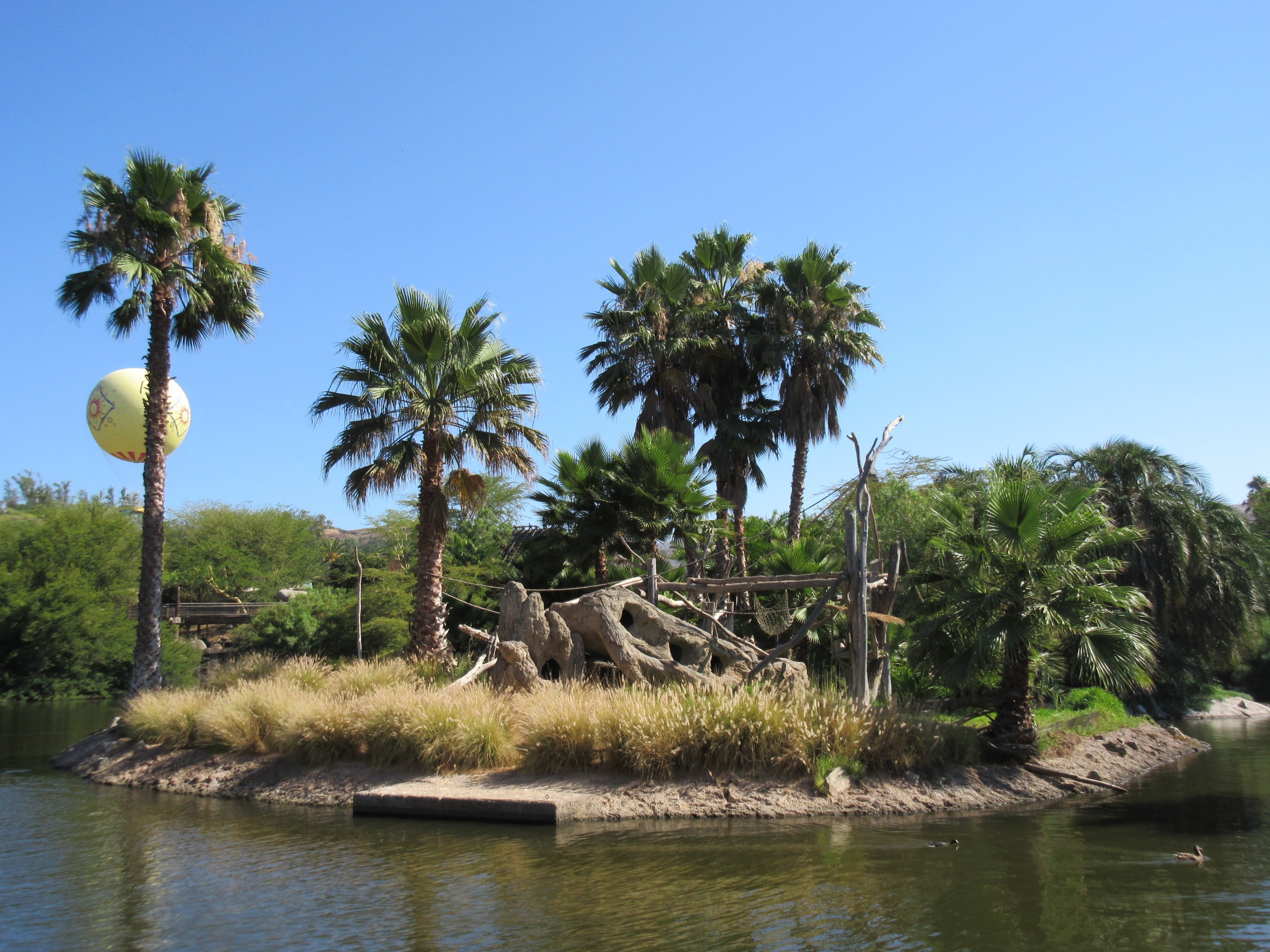 Kikuyu Colobus Monkey Exhibit