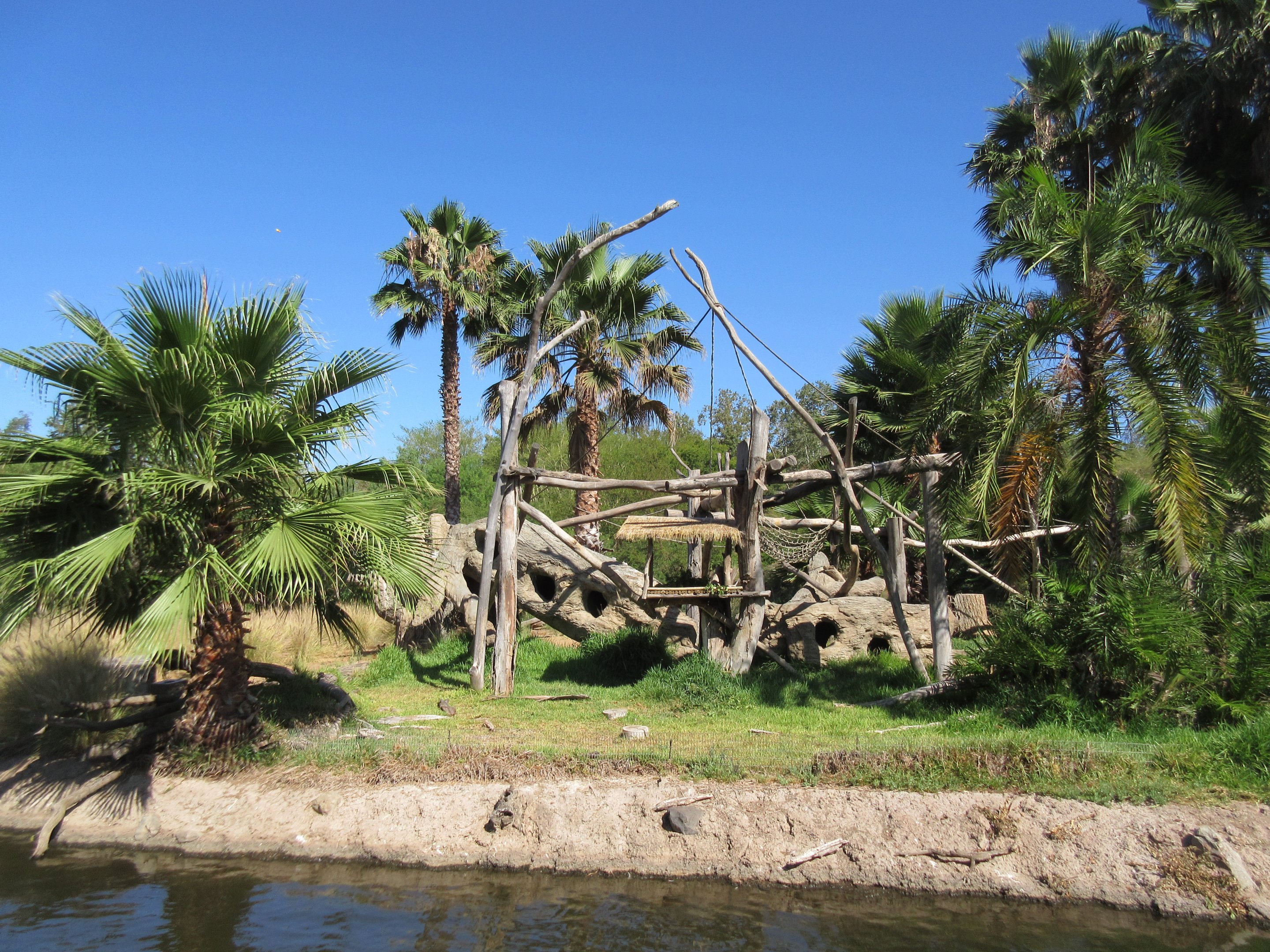 Kikuyu Colobus Monkey Exhibit