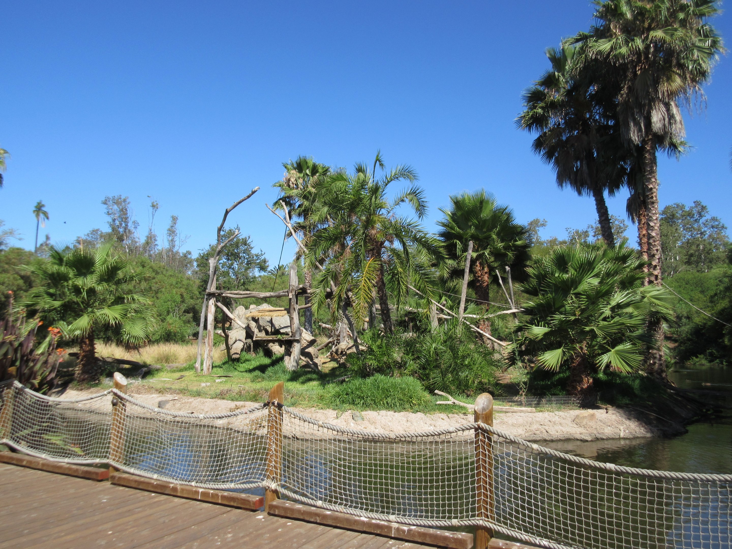 Kikuyu Colobus Monkey Exhibit