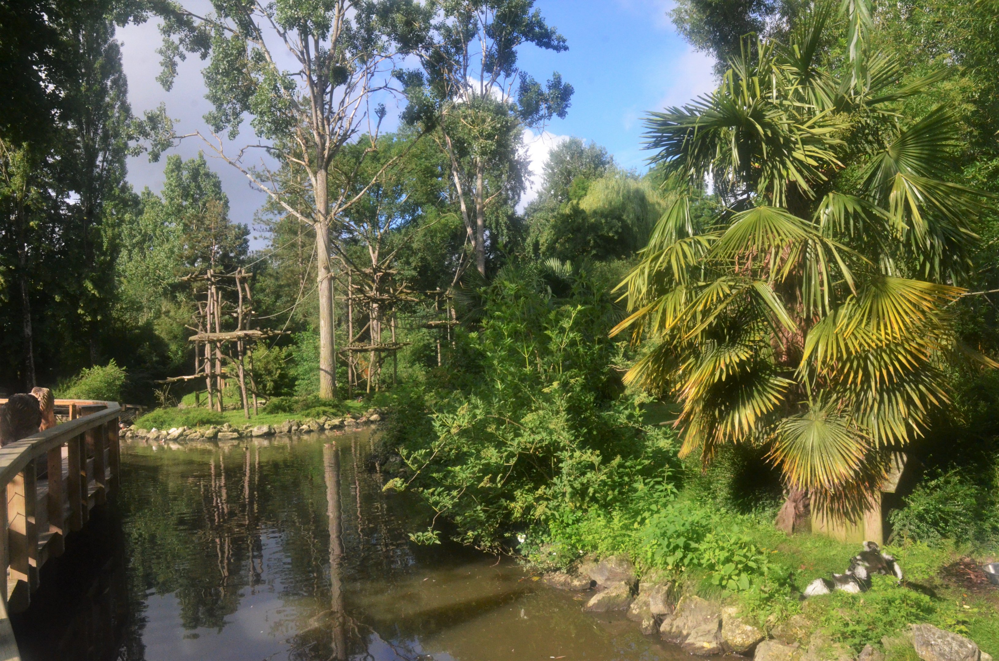 Kikuyu Guereza and Ruffed Lemur Enclosures at Beauval, 12/06/18
