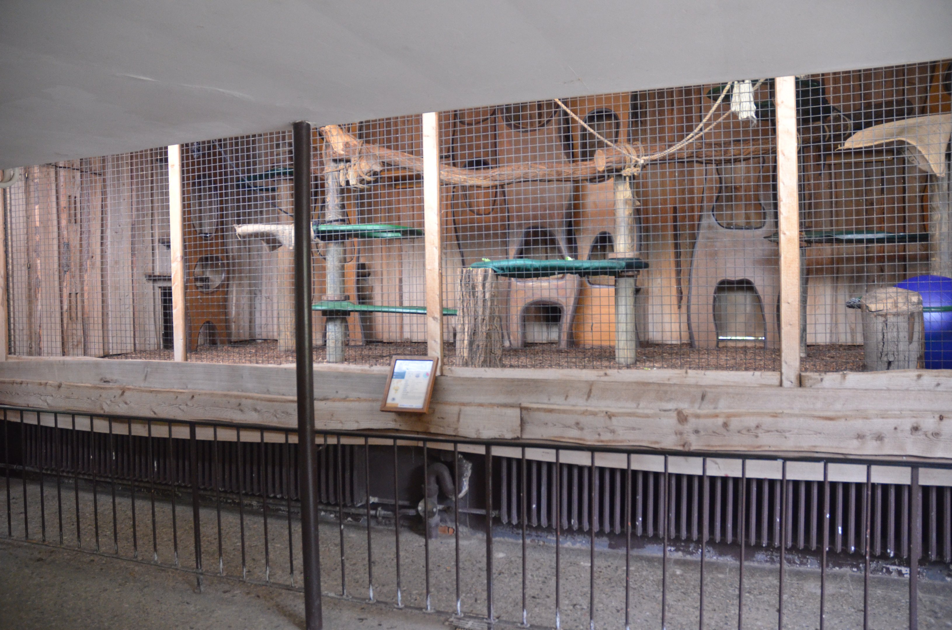 Kikuyu Guereza Indoor Enclosure at Krefeld, 15/06/19