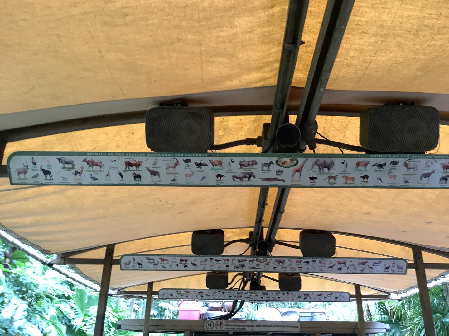 Kilimanjaro Safari Species List 3/18/24