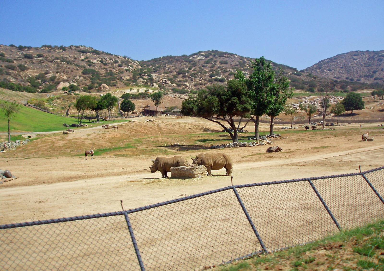 Kilimanjaro Safari Walk