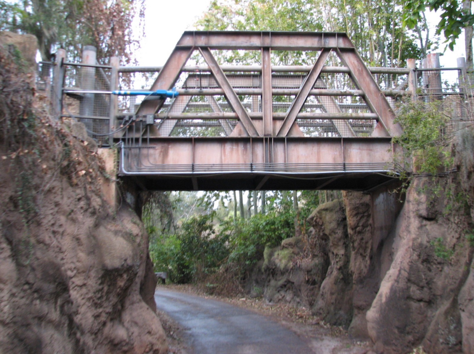 Kilimanjaro Safaris - Bridge and Gate Between African Elephant Exhibits