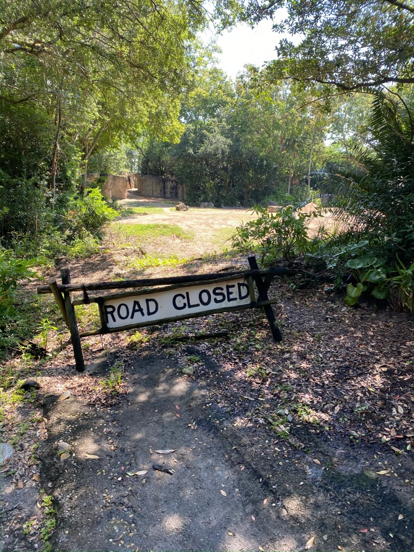 Kilimanjaro Safaris- Elephant Exhibit #1