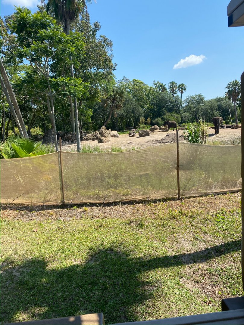 Kilimanjaro Safaris- Elephant Exhibit #2