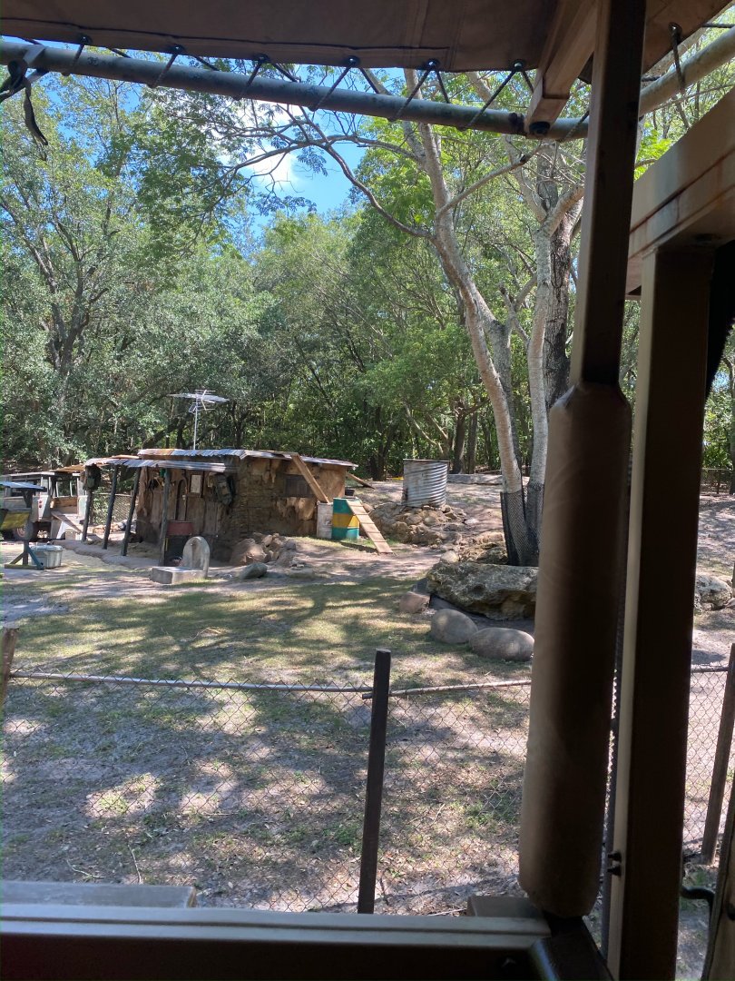 Kilimanjaro Safaris- Goat Exhibit