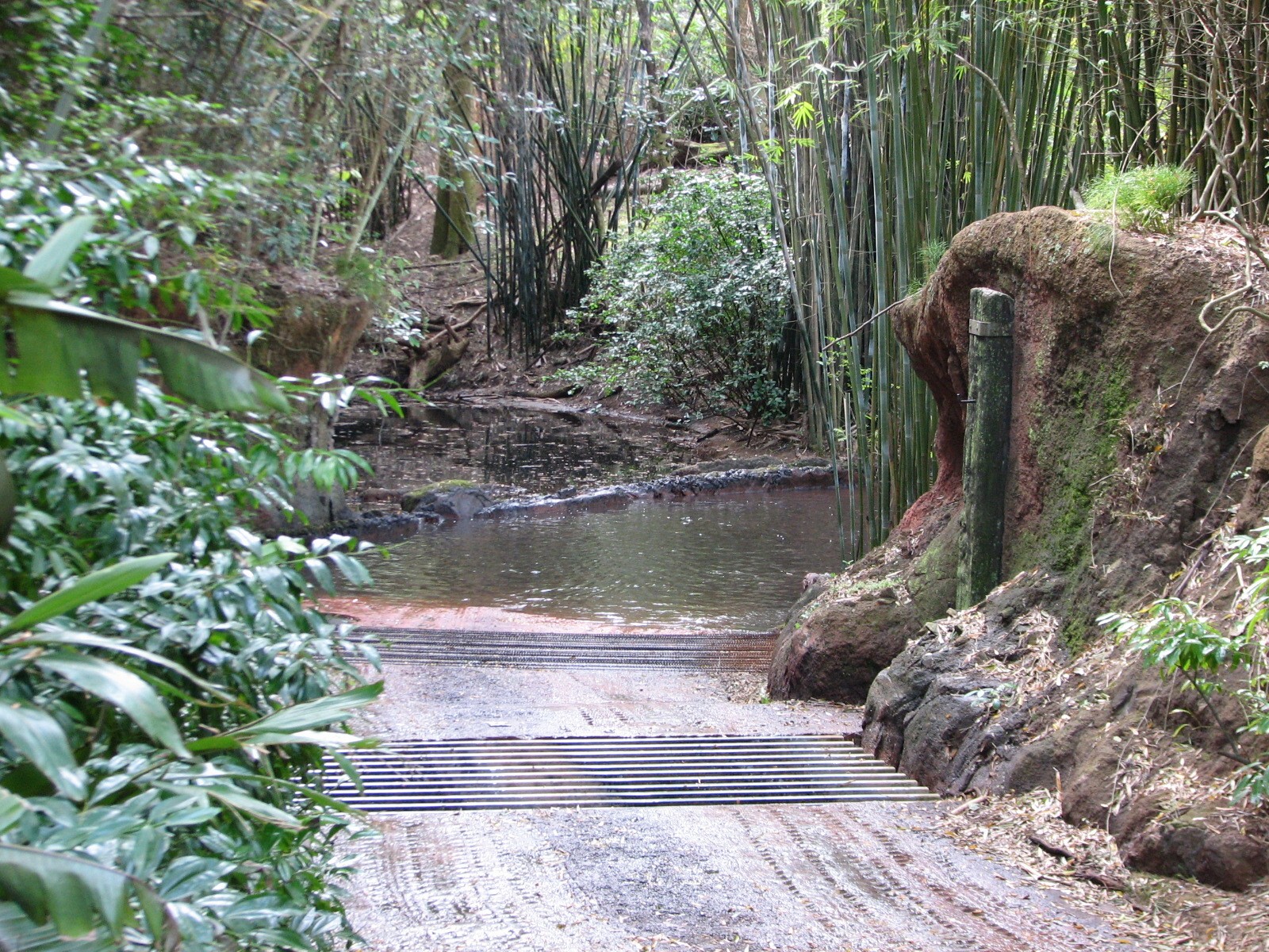 Kilimanjaro Safaris - Little Ituri Forest Entry