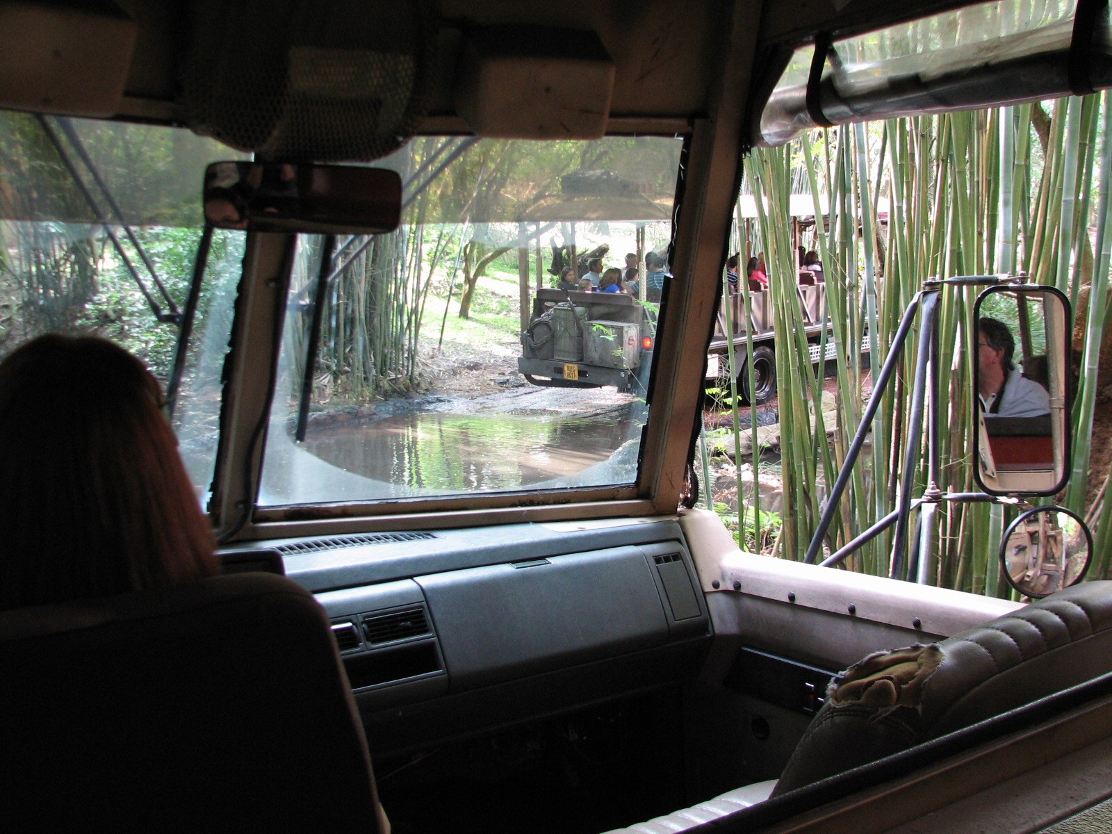 Kilimanjaro Safaris - Little Ituri Forest Entry