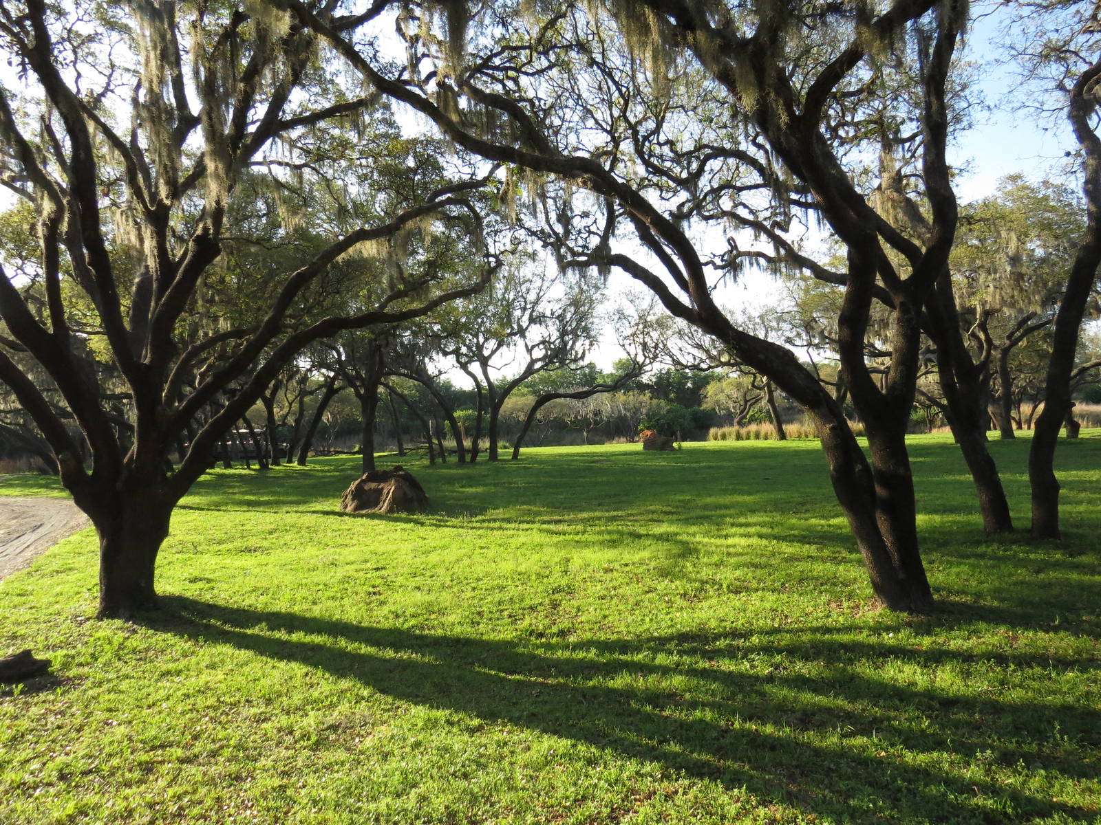 Kilimanjaro safaris, March 2015