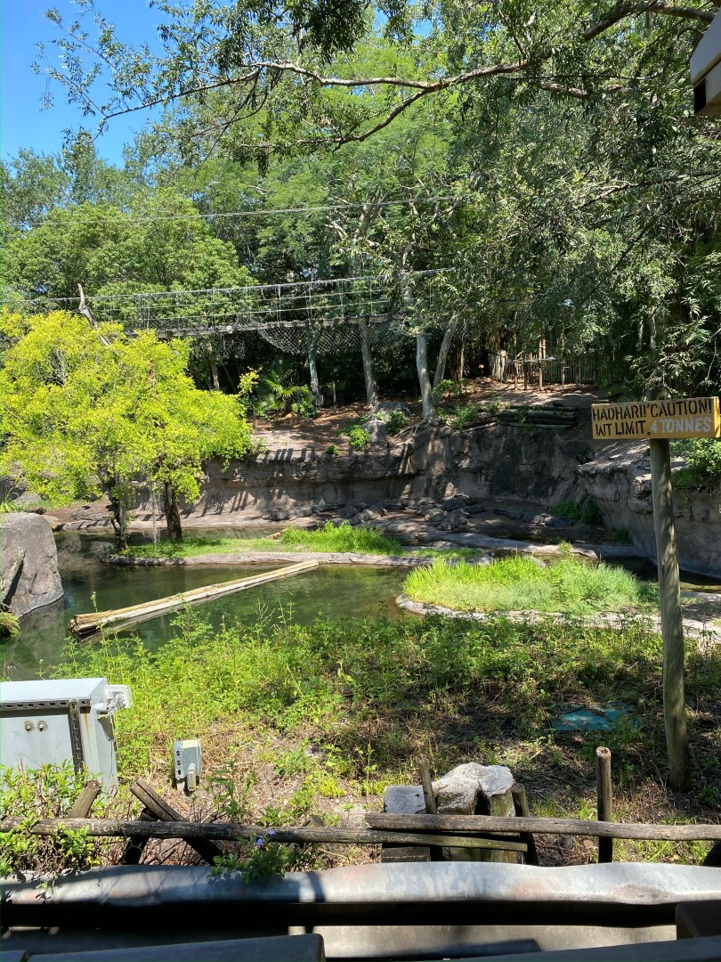 Kilimanjaro Safaris- Nile Crocodile Exhibit