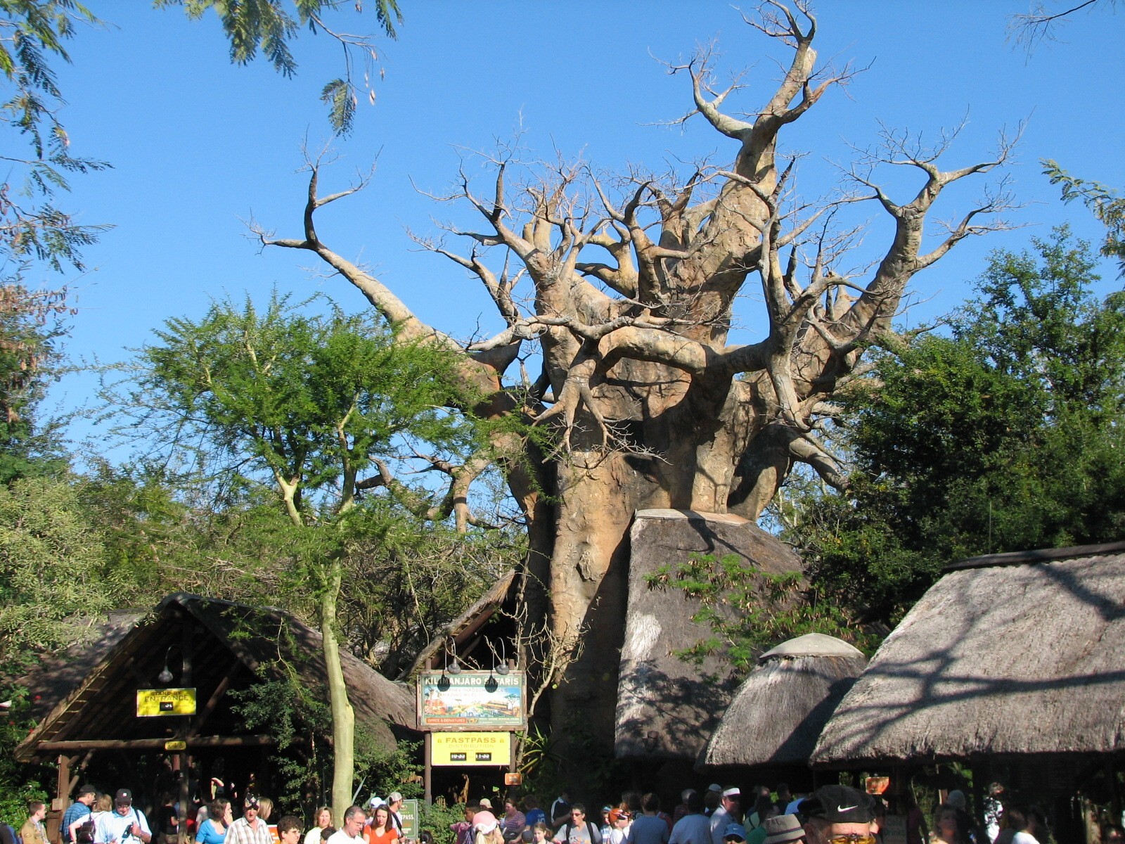 Kilimanjaro Safaris - Ride Entry