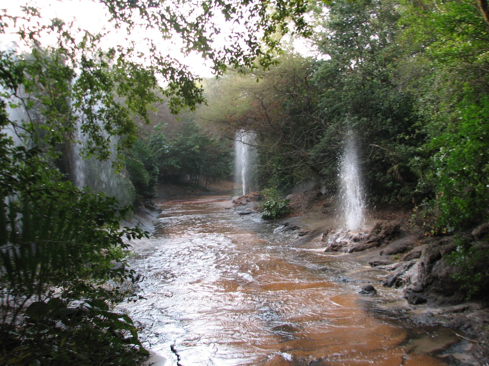 Kilimanjaro Safaris - Ride Finale Show Elements