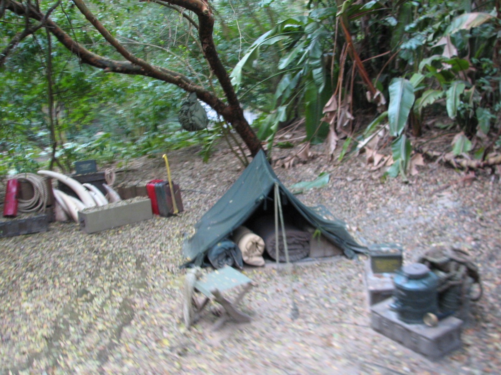 Kilimanjaro Safaris - Ride Finale Show Elements