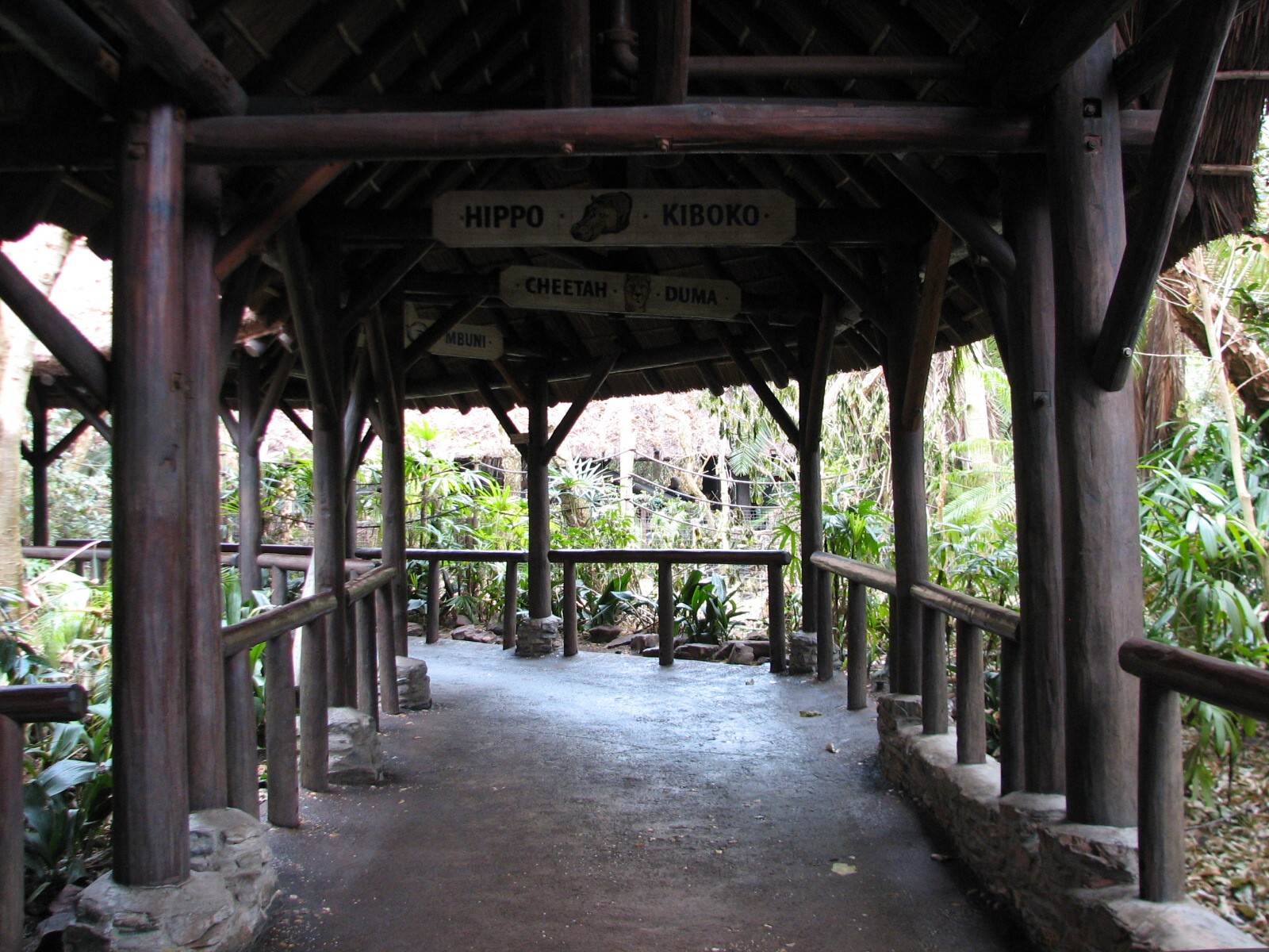 Kilimanjaro Safaris - Ride Queue