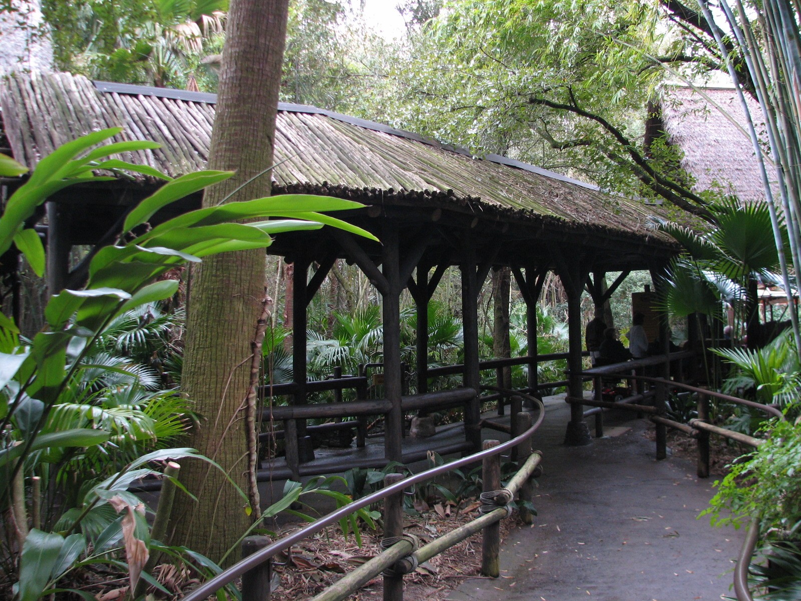 Kilimanjaro Safaris - Ride Queue