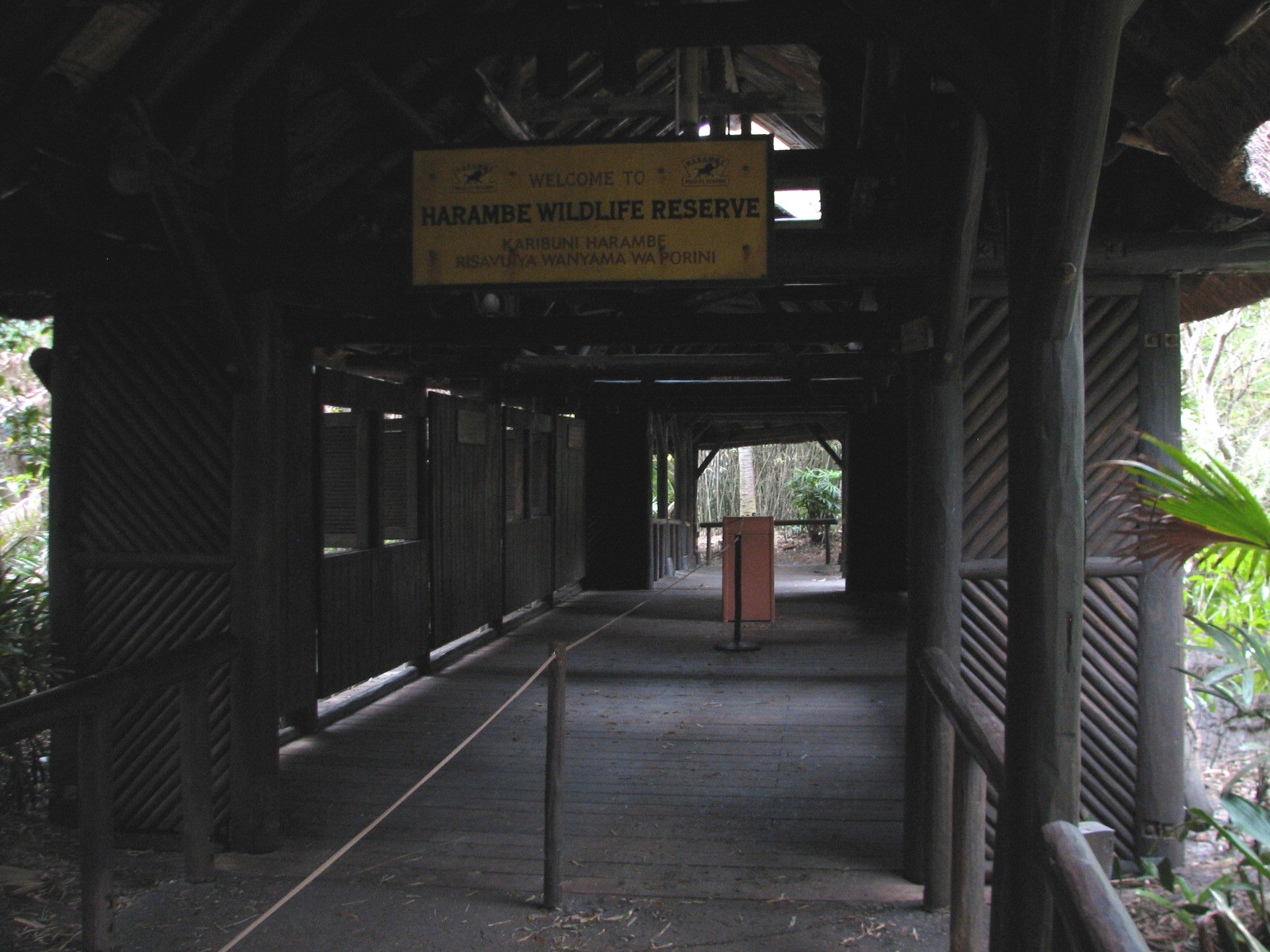 Kilimanjaro Safaris - Ride Queue