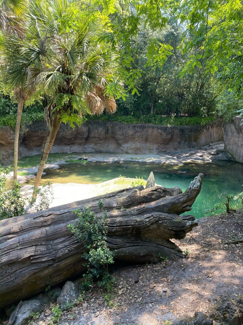 Kilimanjaro Safaris- Safi River