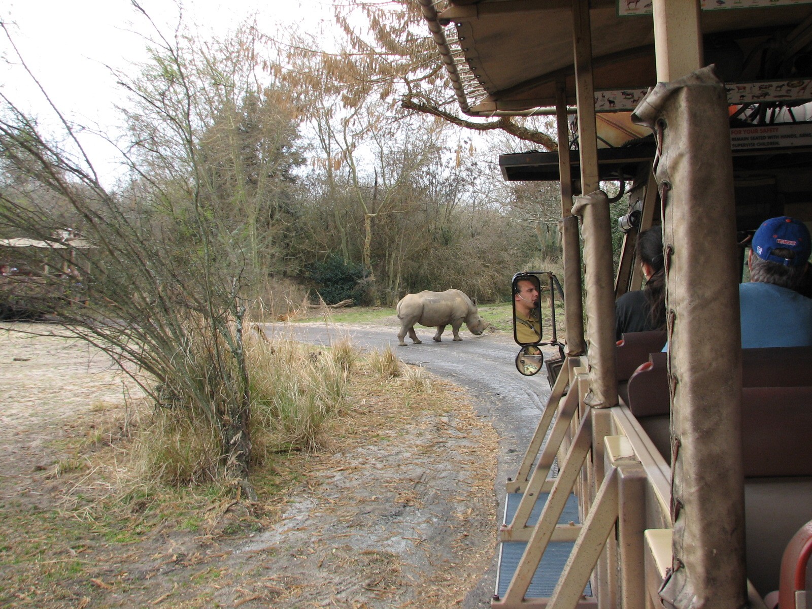 Kilimanjaro Safaris - White Rhino Savanna Exhibit
