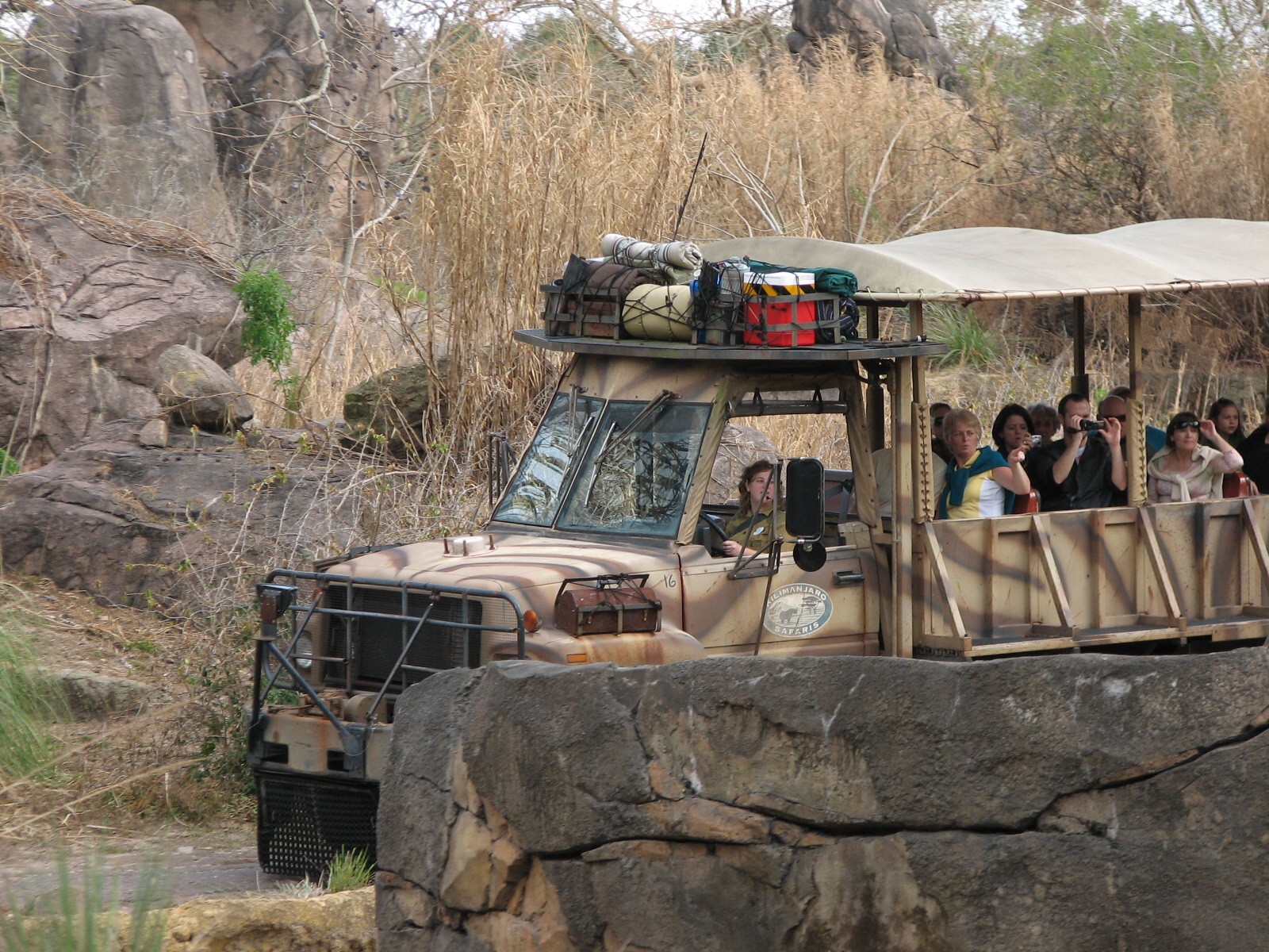 Kilimanjaro Safaris - White Rhino Savanna Exhibit