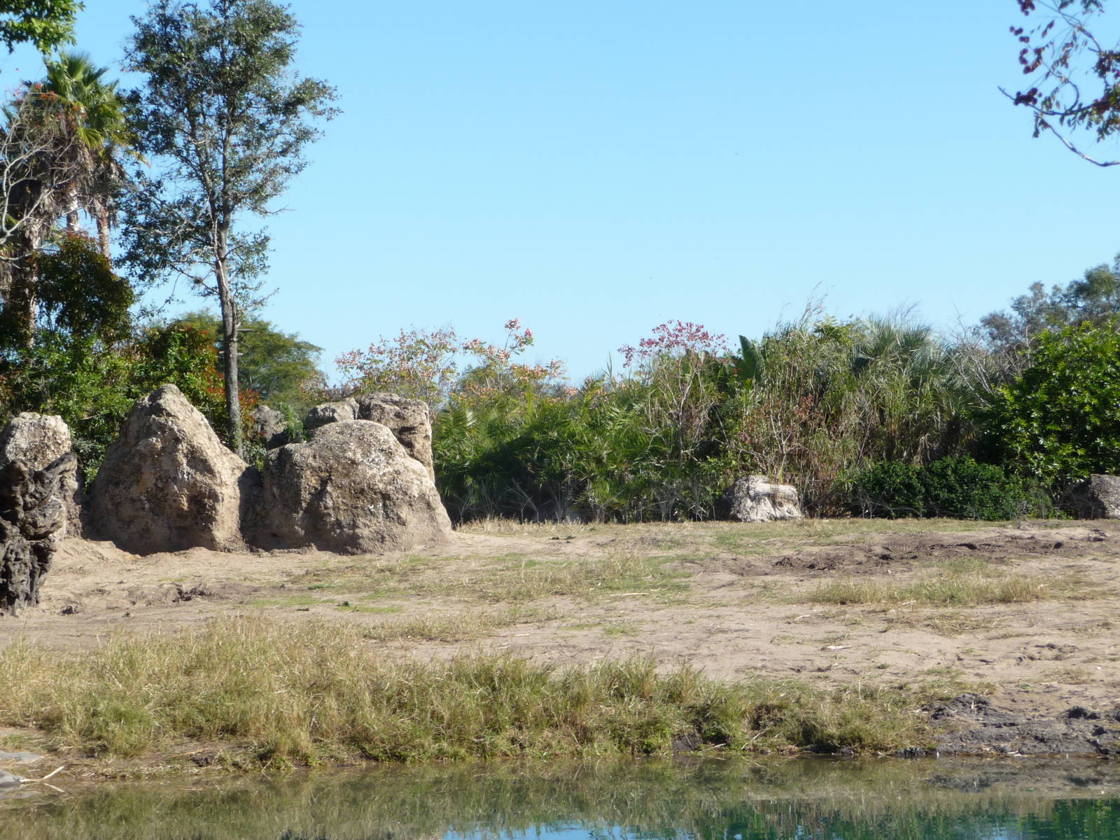 Kilimanjaro Safaris