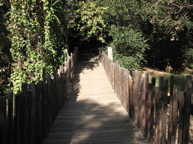 Kilimanjaro Trail - Suspension Bridge