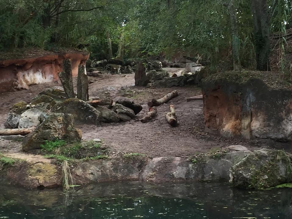 Kiliminjaro Safaris- Black Rhinoceros