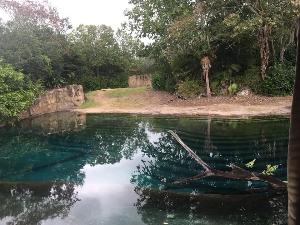 Kiliminjaro Safaris- Bull African Elephant Yard