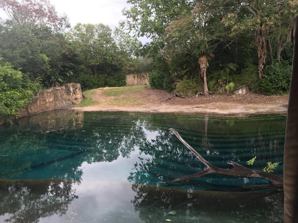 Kiliminjaro Safaris- Bull African Elephant Yard