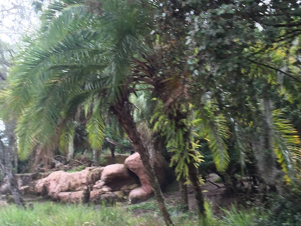 Kiliminjaro Safaris- Mandrill