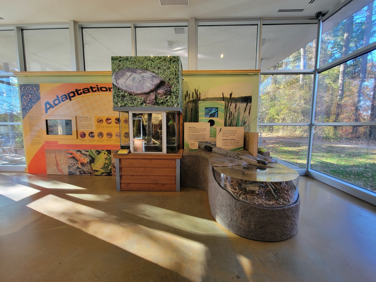 Killen's Pond Nature Center - Adaptations / Hidden Herps / Disappearing Habitat