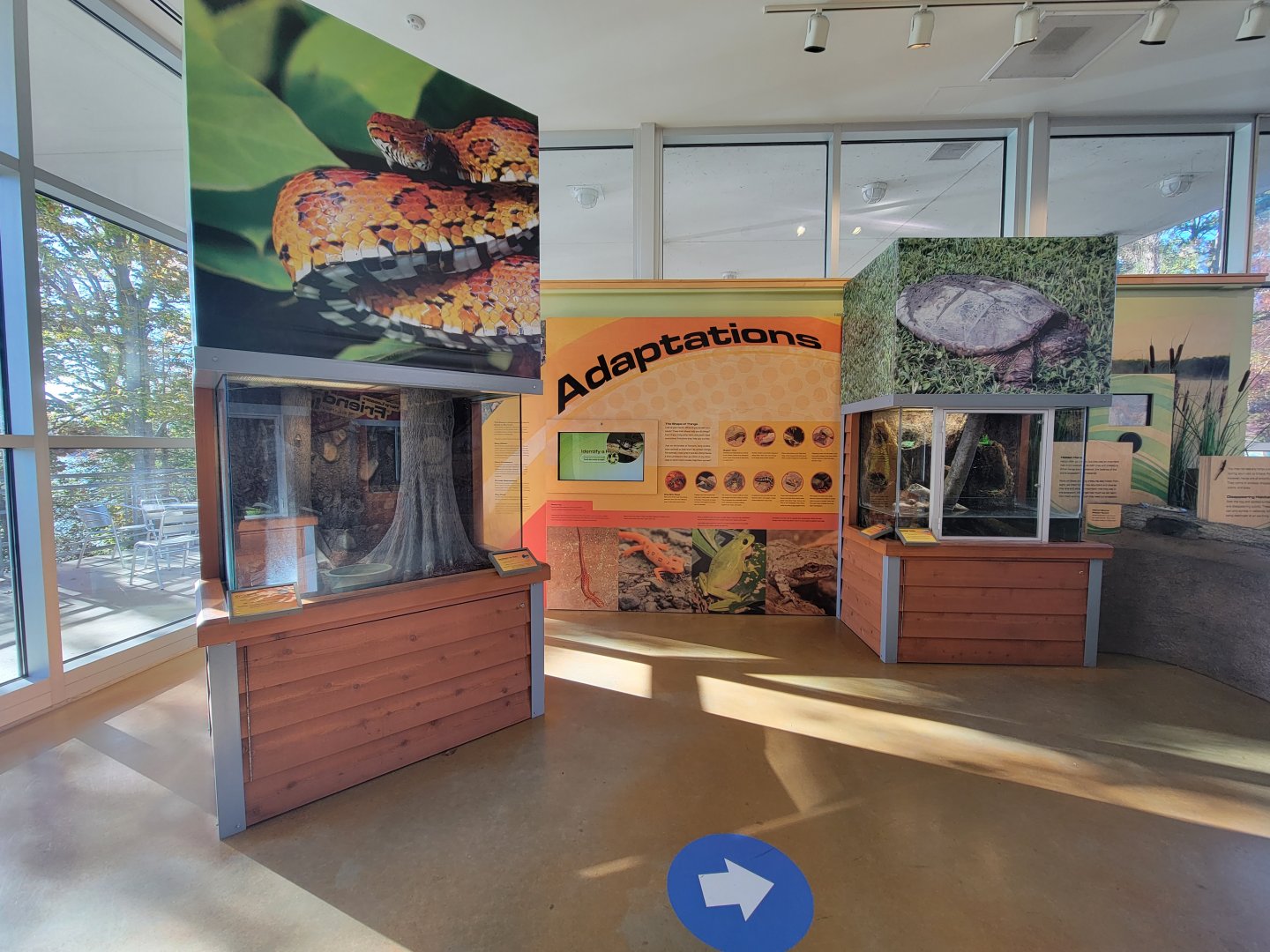 Killen's Pond Nature Center - Corn Snake, Spotted Turtle