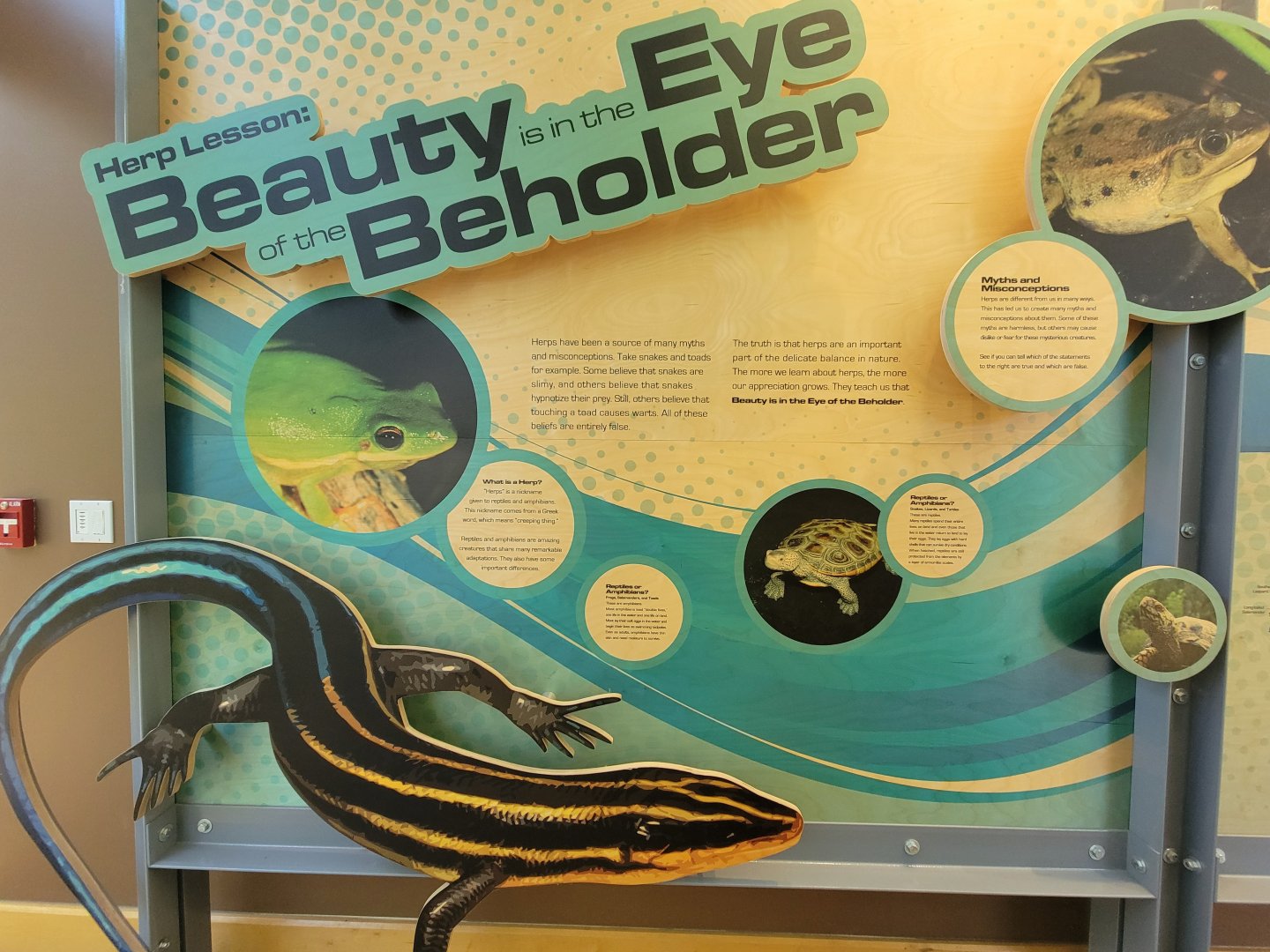 Killen's Pond Nature Center - Exhibit entrance sign