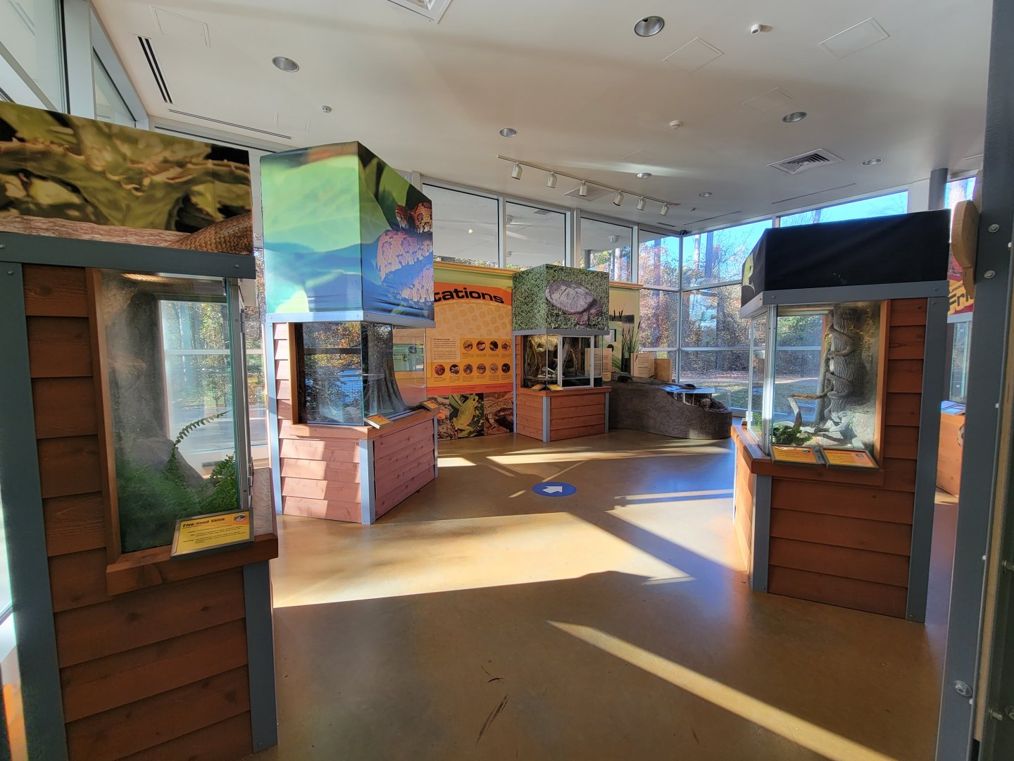 Killen's Pond Nature Center - Exhibit room