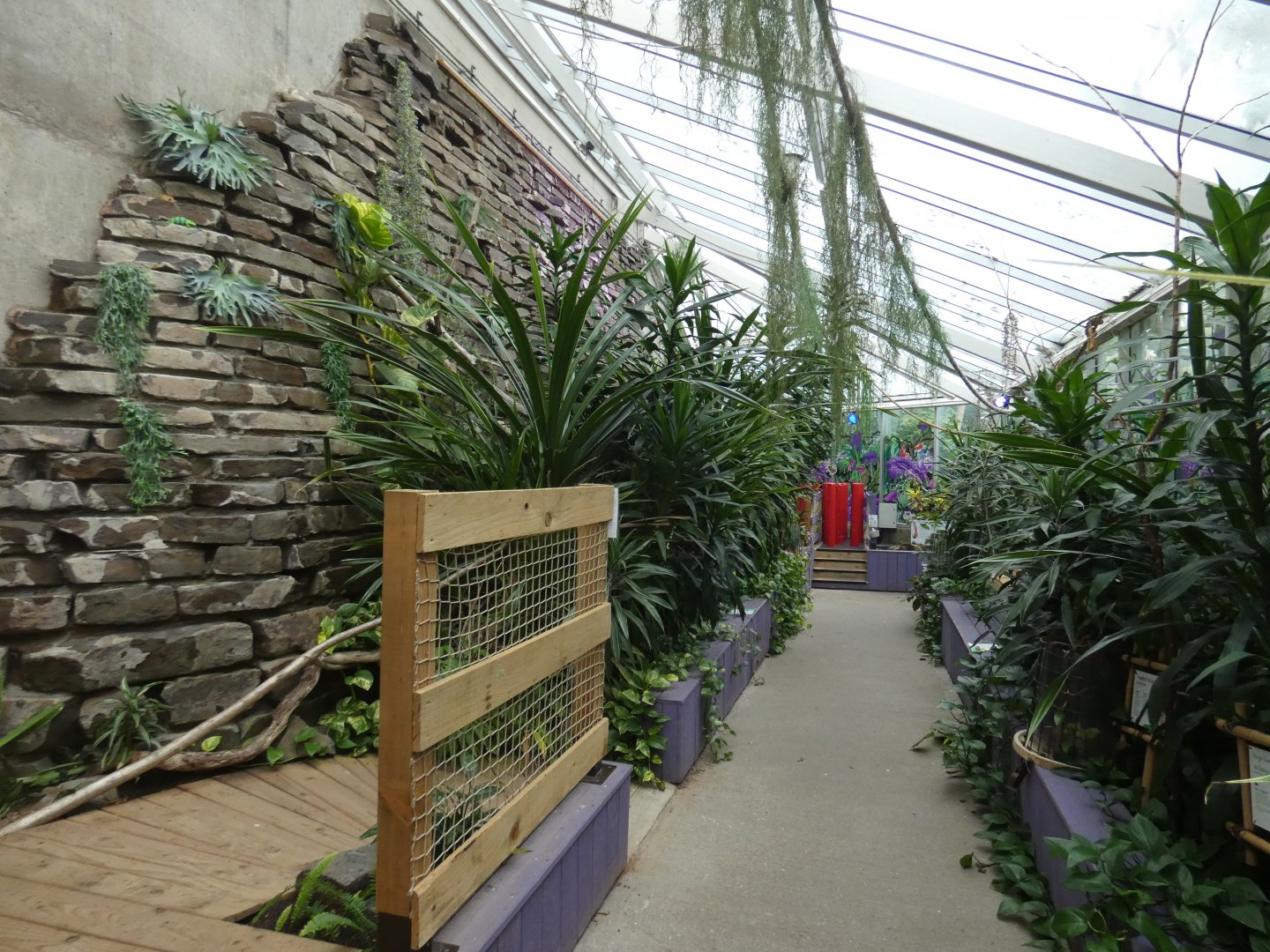Killer Plants exhibit (Plantasia Swansea)