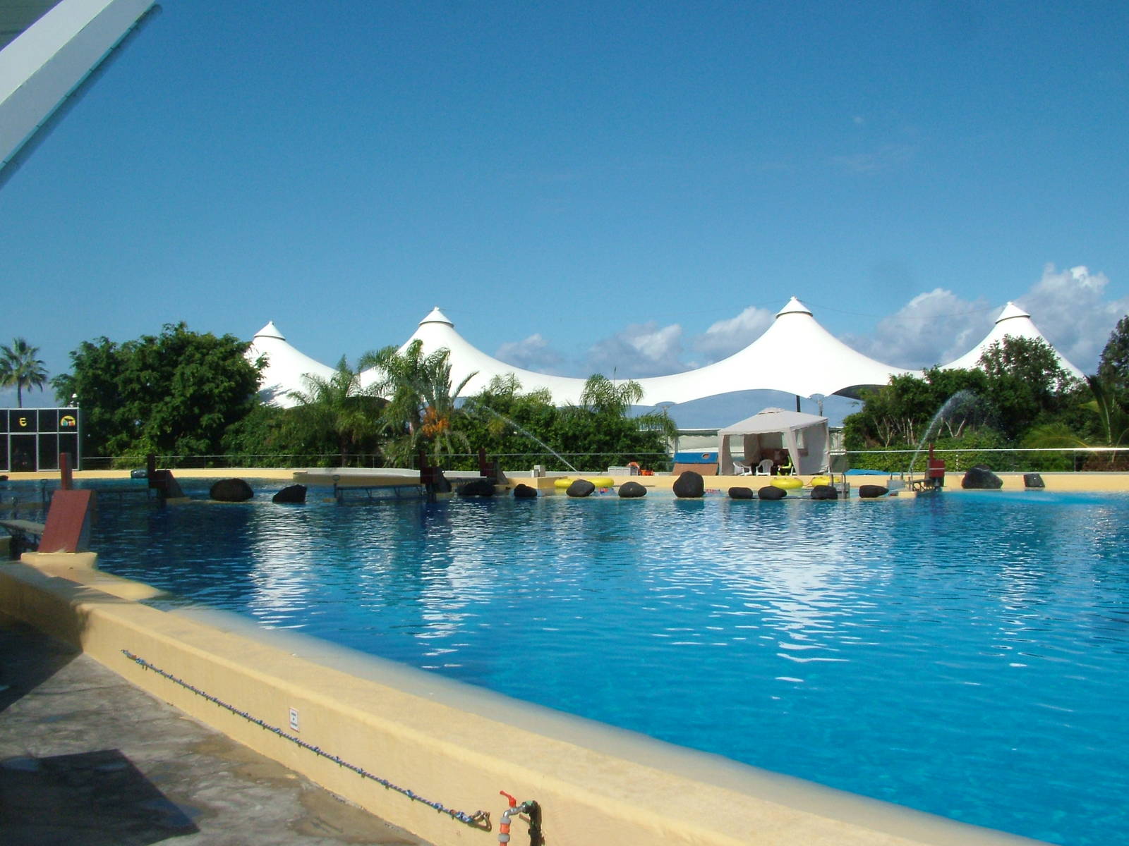 Killer Whale pools at Loro Parque, 08/11/10