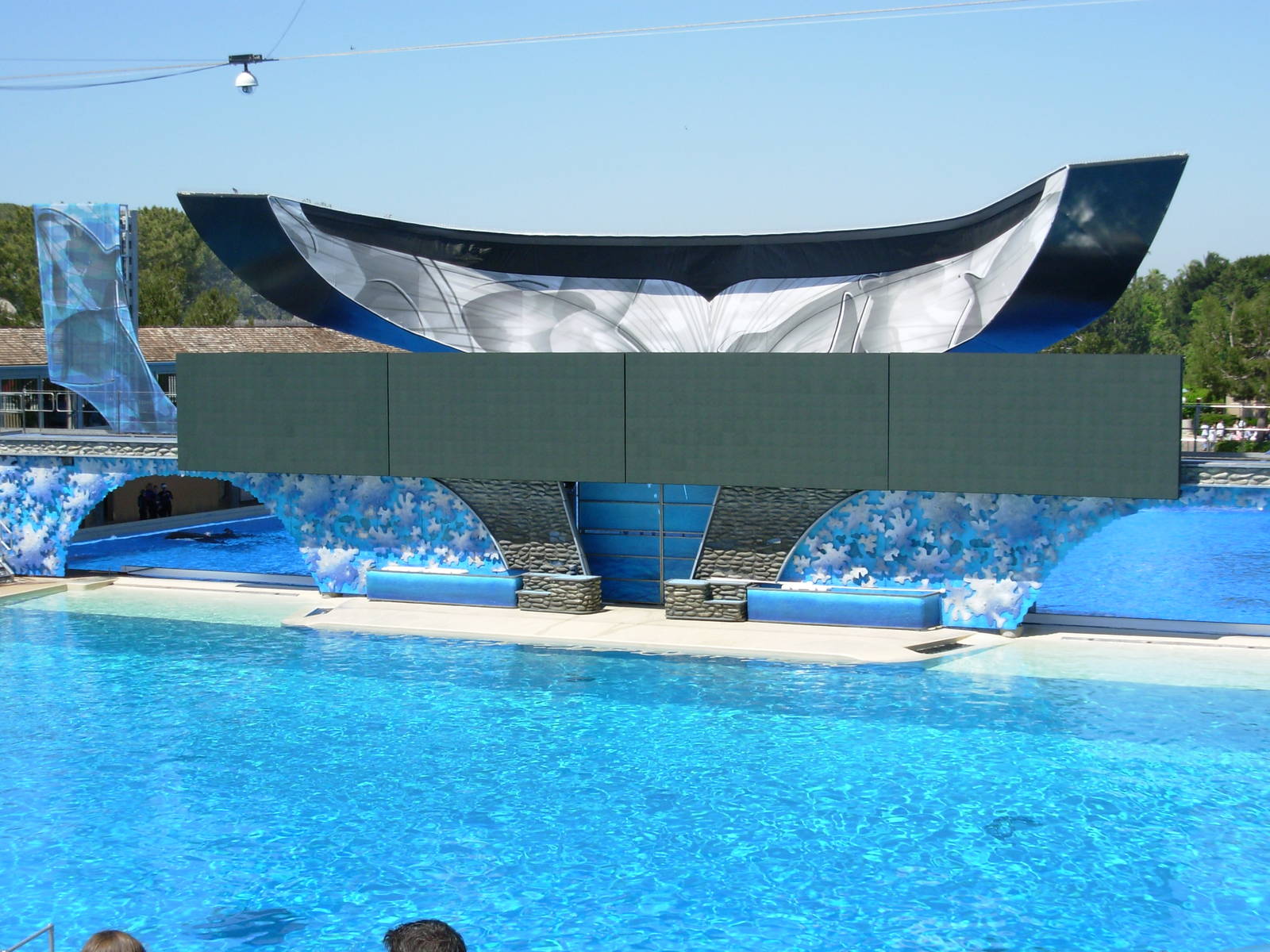 Killer Whale Show Stage