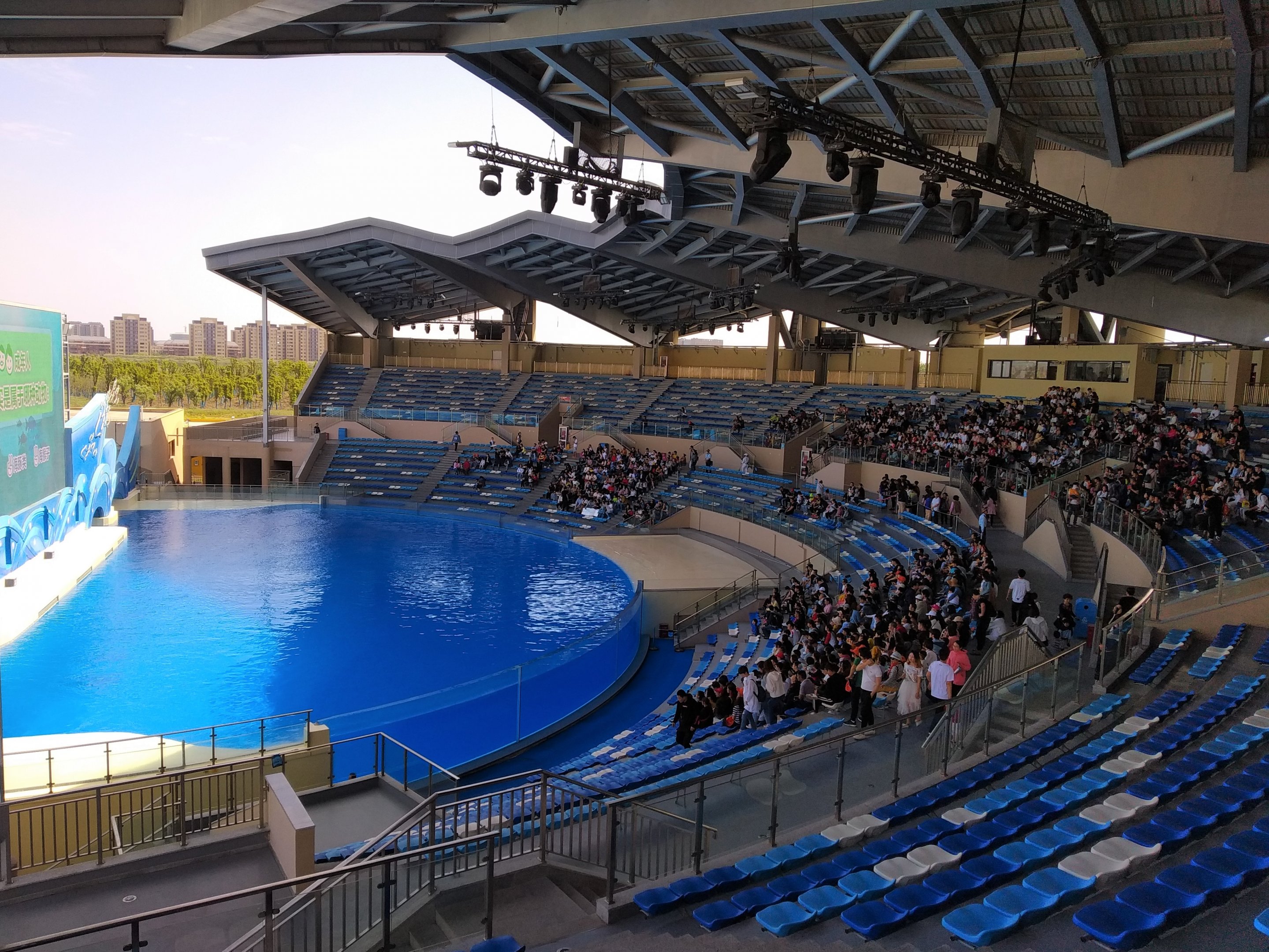 Killer Whale Theatre