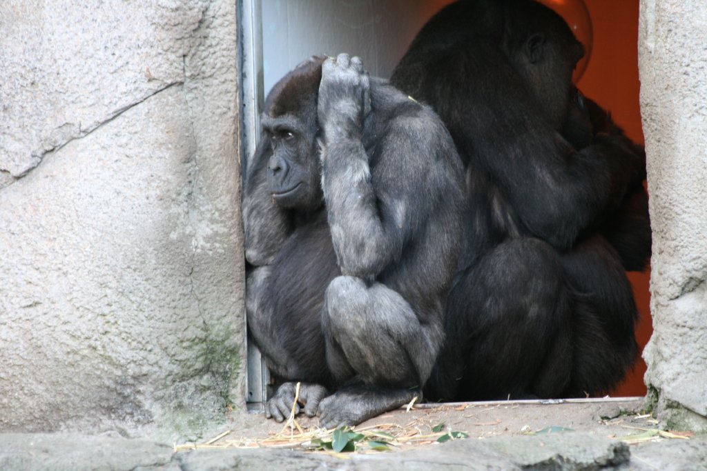 Kimya - reacting to noisy school kids