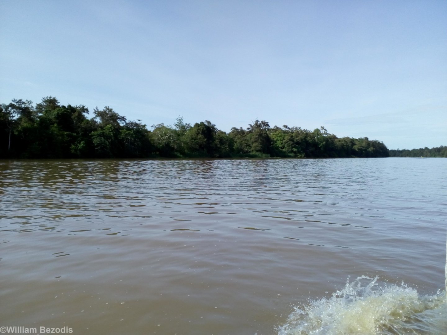 Kinabatangan River View