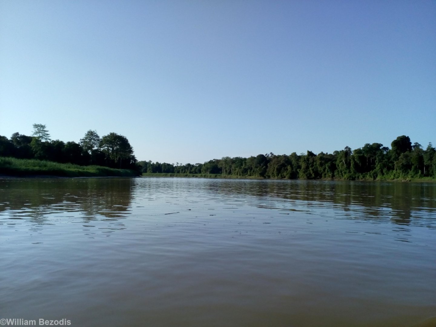 Kinabatangan River View