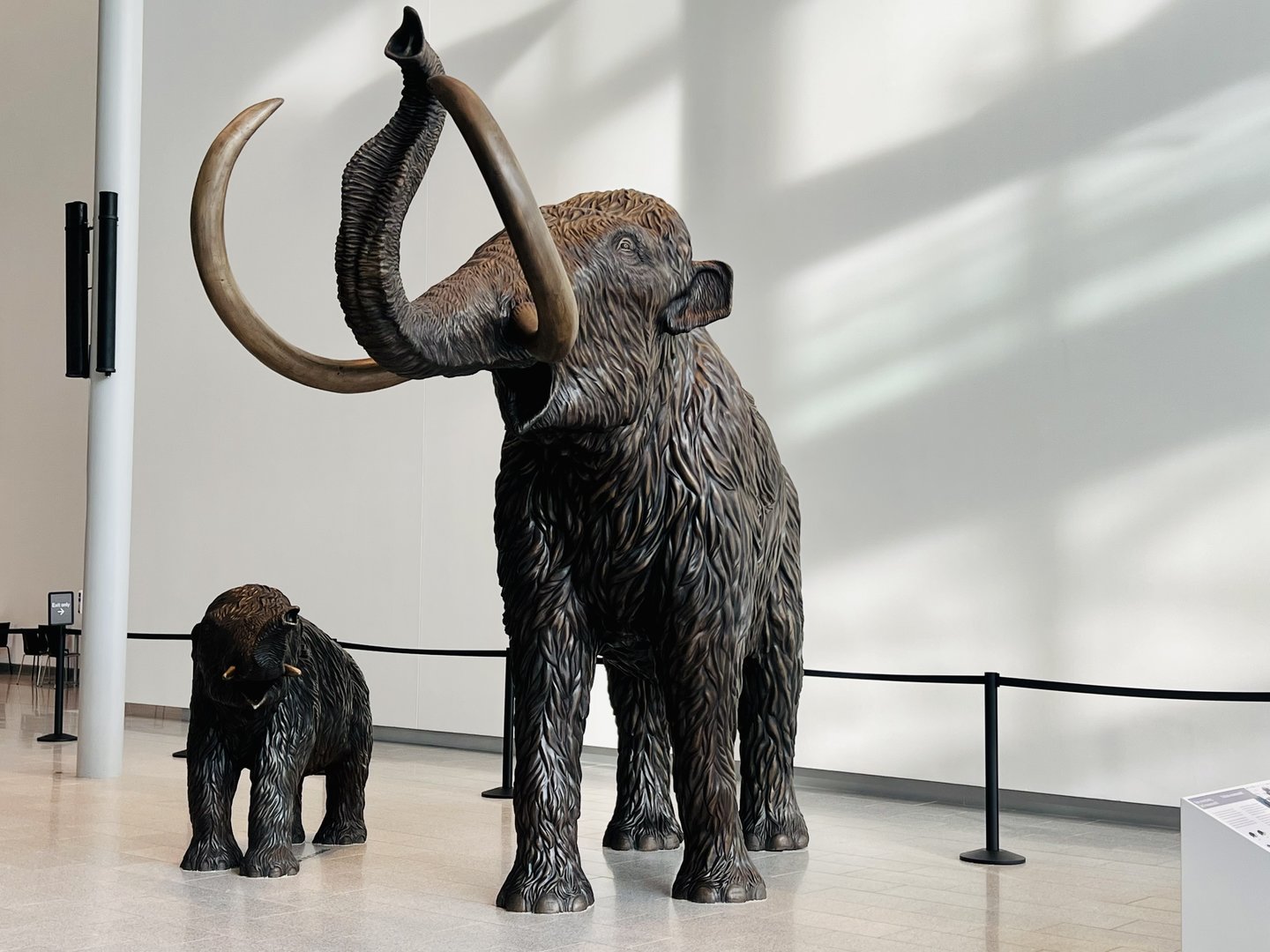 Kind of remind me of giant Schleich figures